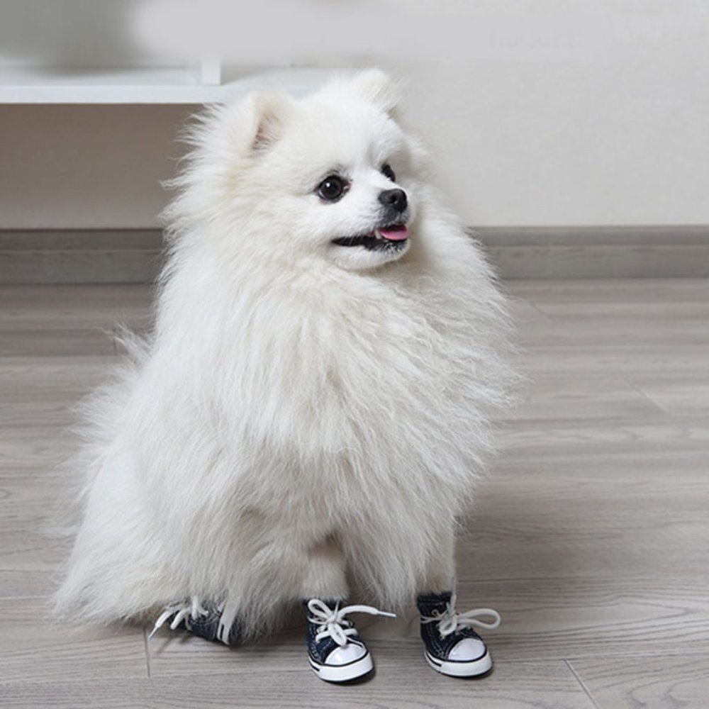 Small Dog Casual Non-slip Sports Boots Puppy Canvas Shoes (Dog and Cat) … - Picture 2 of 7